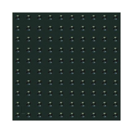 PL 8019
